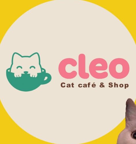 Cleo Cat Caf&eacute; & Shop
